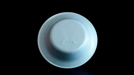 Pack Plato Pozolero 08 blanco resistente